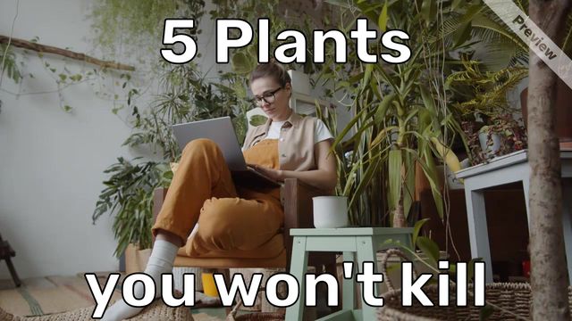 5 Plants Video Template