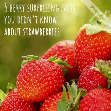 Strawberry Day Video Template