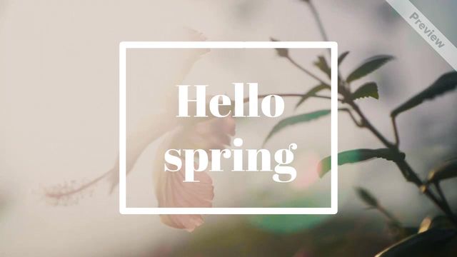 Hello Spring Video Template