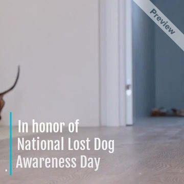 National Lost Dog Awareness Day