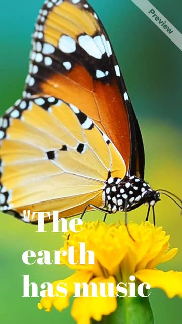 Earth's Music Video Template