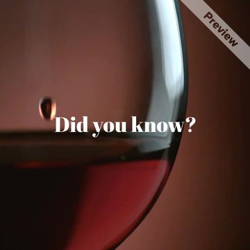 Wine Day 2 Video Template