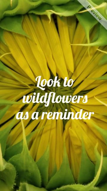 National Wildflower Week