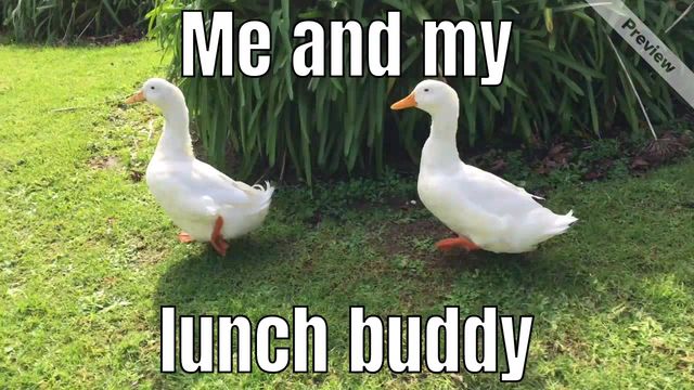 Food truck Video Template