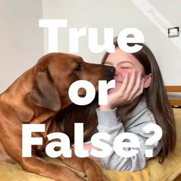 Kissing Day 2 Video Template