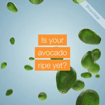 National Avocado Day