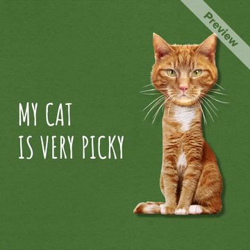 Caturday Video Template