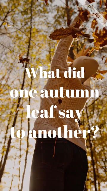 First Day Of Fall | Sep 22 Video Template