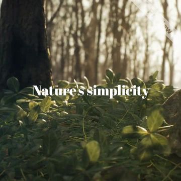 Nature's Simplicity Video Template