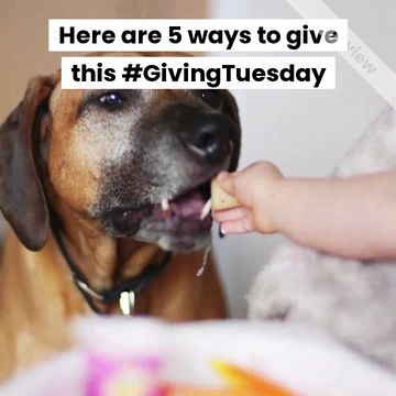 #GivingTuesday Video Template