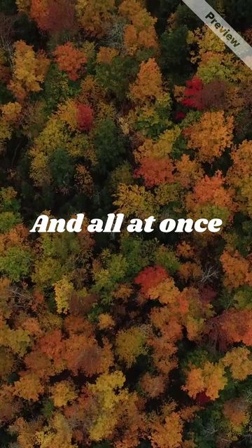 Fall discounts Video Template