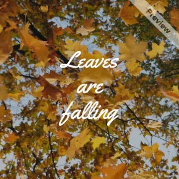 Autumn Home Video Template