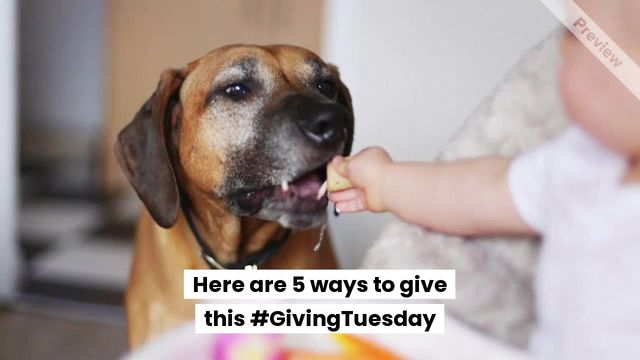 #GivingTuesday Video Template