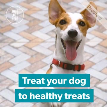Healthy dog treats Video Template