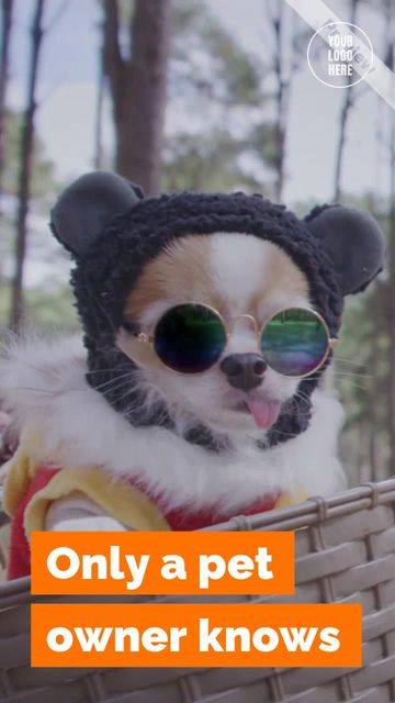 Love Your Pet Day Video Template