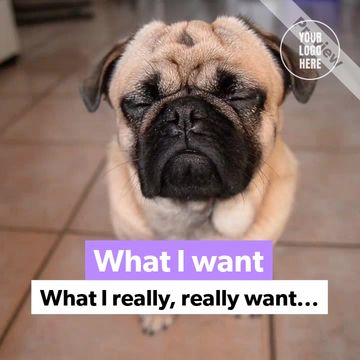 A Walk in the Park Video Template