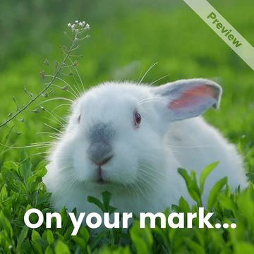 Ready, Set, Hop Video Template