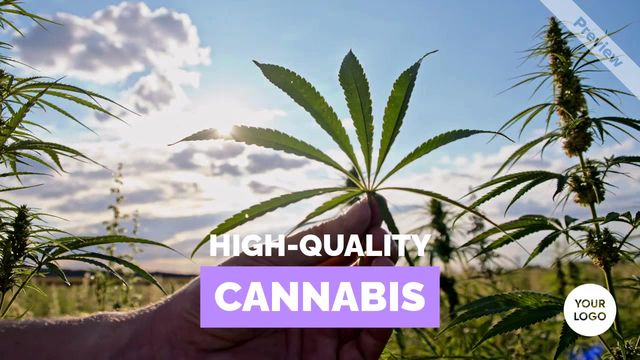 Cannabis Shop Video Template