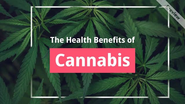 Cannabis Health Benefits Video Template