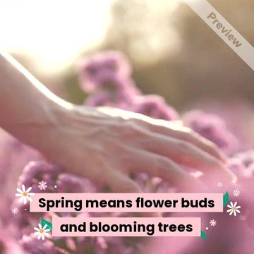 Allergy Season Video Template