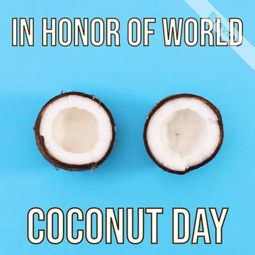 Coconut Day Video Template