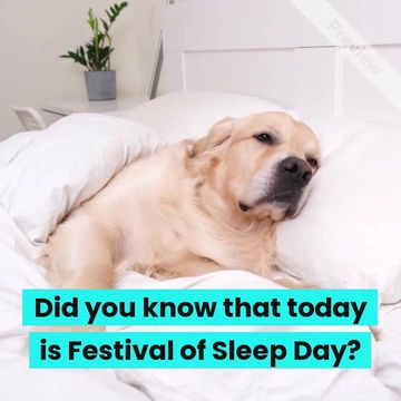 Festival of Sleep Day | Jan 3 Video Template