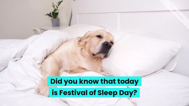 Festival of Sleep Day | Jan 3 Video Template