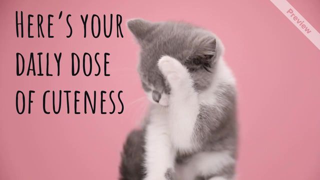Dress Up Your Pet Day | Jan 14 Video Template