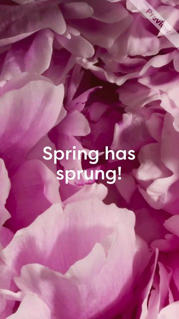 Spring Marketing Promo | Tall Video Template