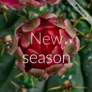 New Season, New You | Sales  Video Template