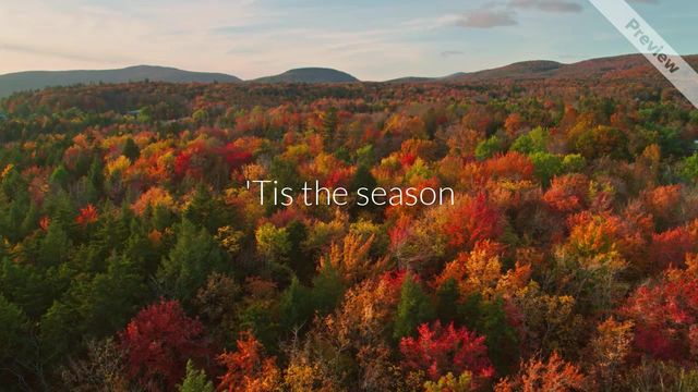 At Peace | Wellness Wednesday #3 Video Template