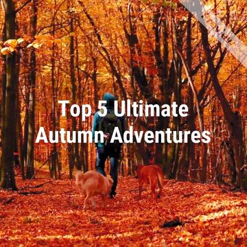Top Autumn Adventures   Video Template