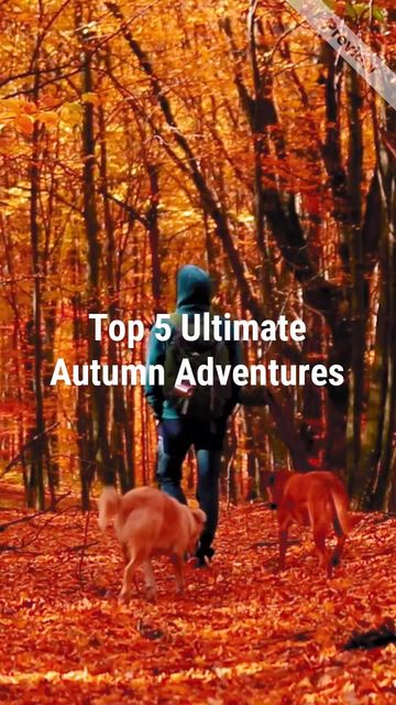 Top Autumn Adventures   Video Template