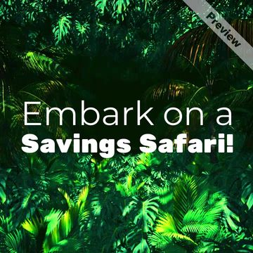 Savings Safari | Sales Video Template