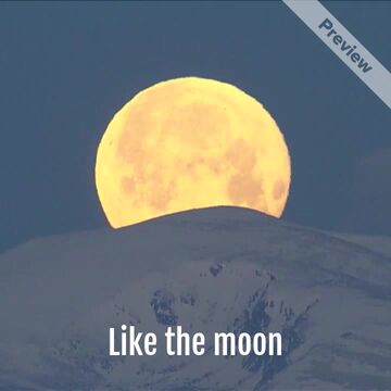 Always Whole | Self-Love Sunday Video Template