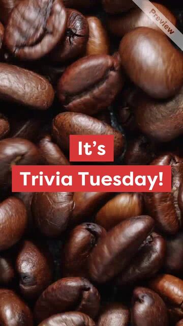 Coffee Knowledge | Trivia Tuesday Video Template