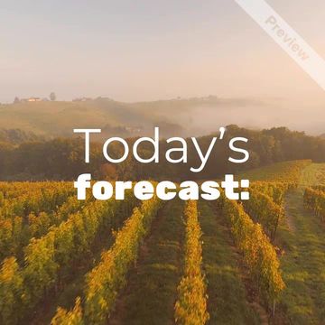 Wine Day | May 25 Video Template