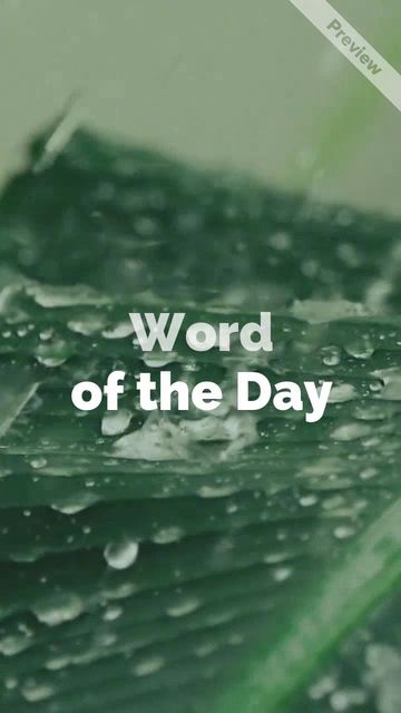 Pluviophile | Word of the Day Video Template