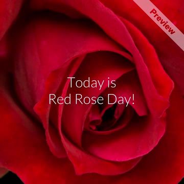 Red Rose Day | Jun 12 Video Template