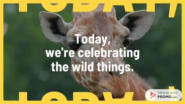 Celebrate the Wild with [Your Brand] Video Template