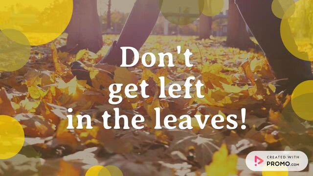 Fall into Savings: Last Chance! Video Template