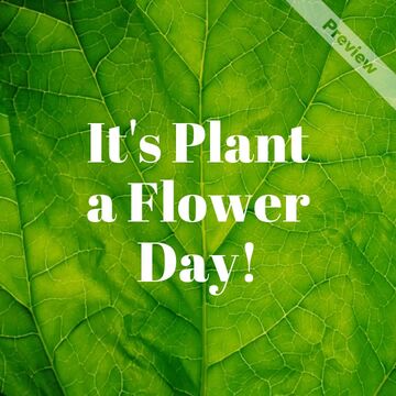 Plant a Flower Day: Grow Your Future