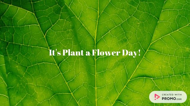 Plant a Flower Day: Grow Your Future Video Template