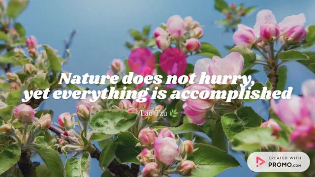 Quote of the Day: Growth & Patience Video Template