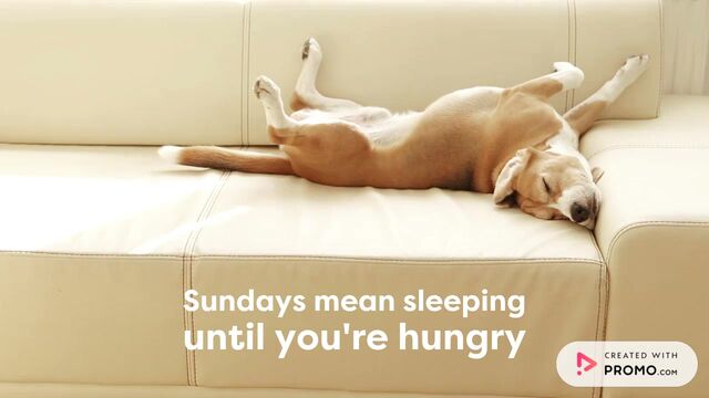 Sunday Funday Video Template